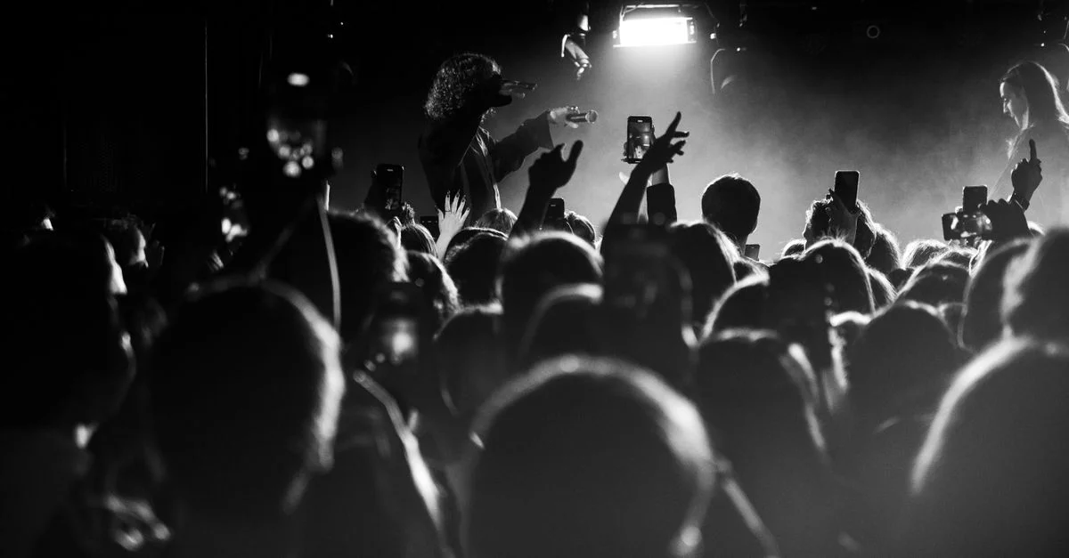 Prise de vue énergique en noir et blanc d'un concert de musique avec un public vivant et des éclairages de scène.
